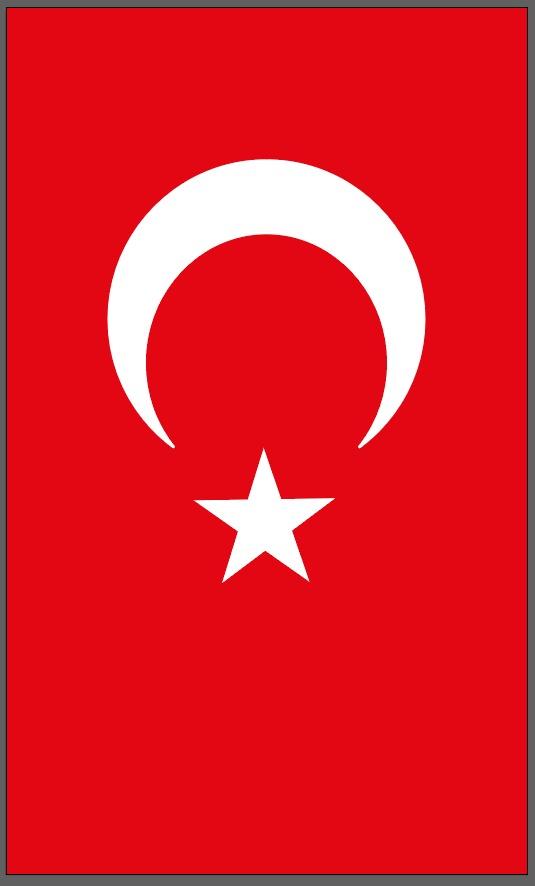 Türk Bayrağı